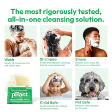 Load image into Gallery viewer, pHact Moisture-Rich Mint Cleansing Bar - Eco-Friendly 12-Pack for All Skin Types