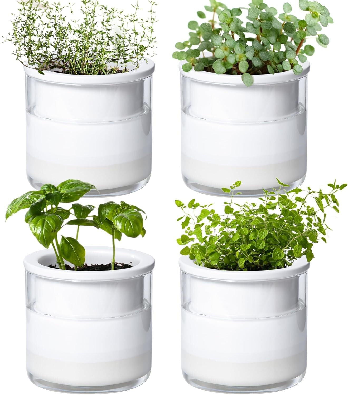 Elegant 4" Modern Terracotta Pots with Glass | Indoor Self-Watering Planters
