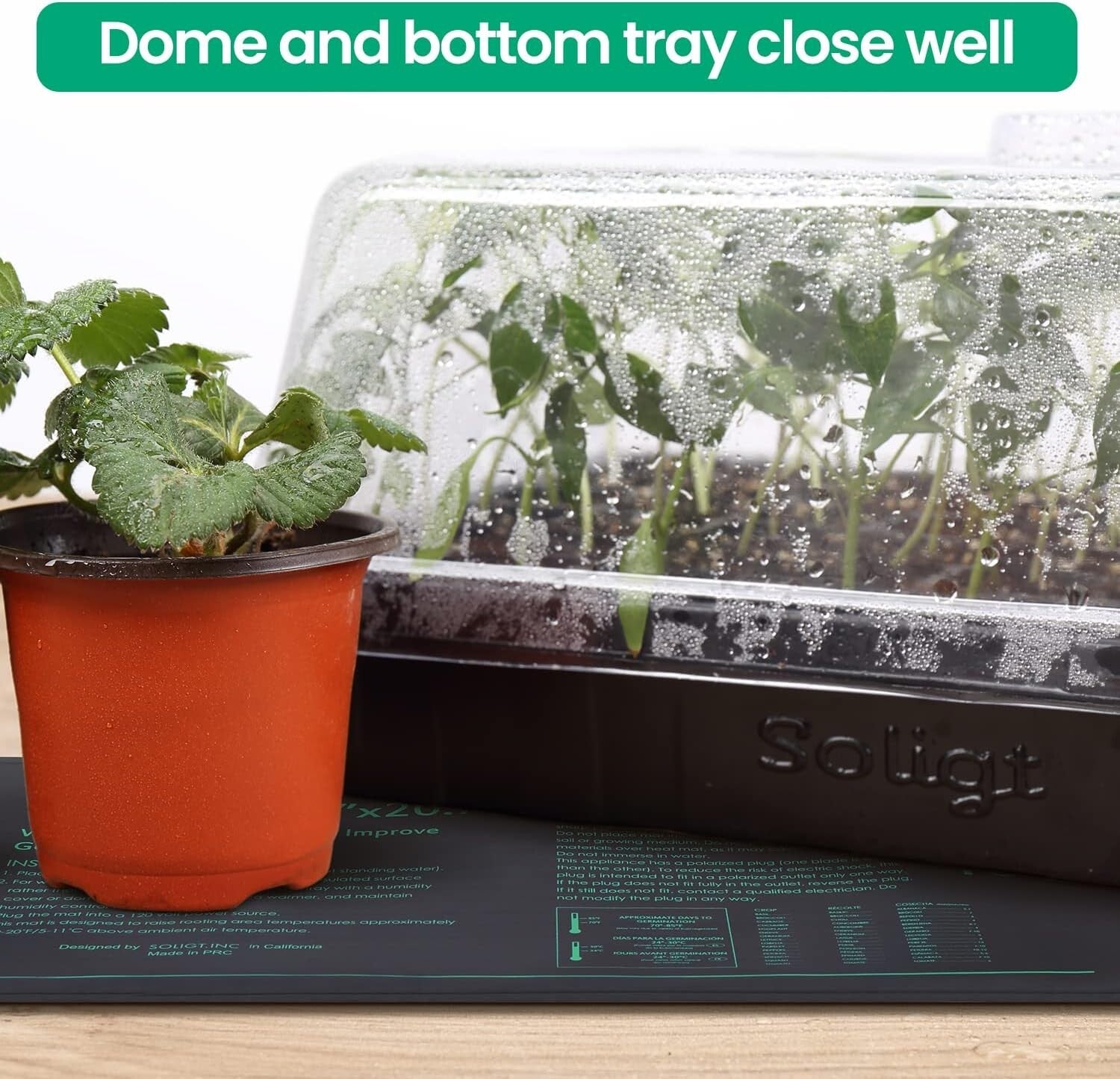 Heavy Duty Seedling Starter Kit with Heat Mats - Perfect for Herbs & Vegetables