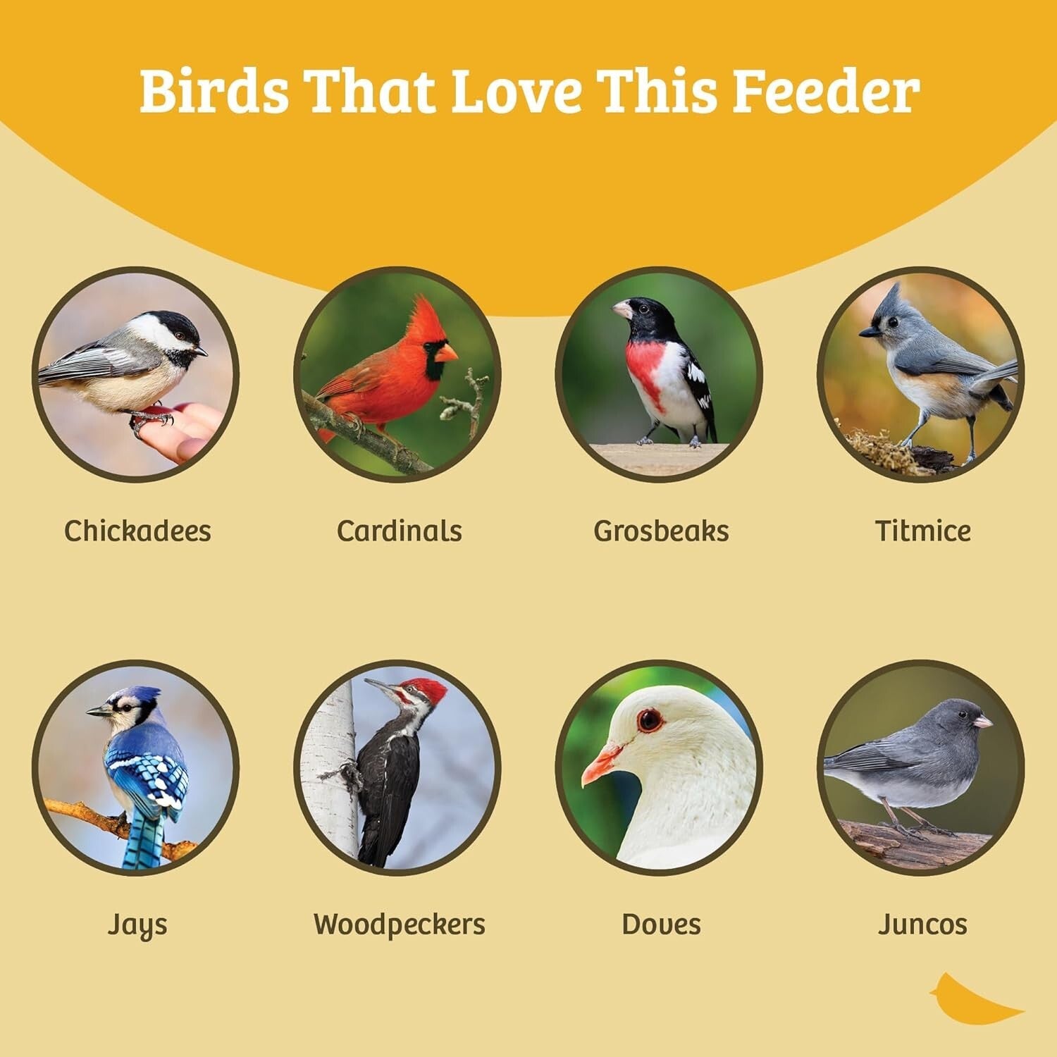 Elegant Weatherproof Bird Feeder with Weatherguard and Durable Aluminum Ports