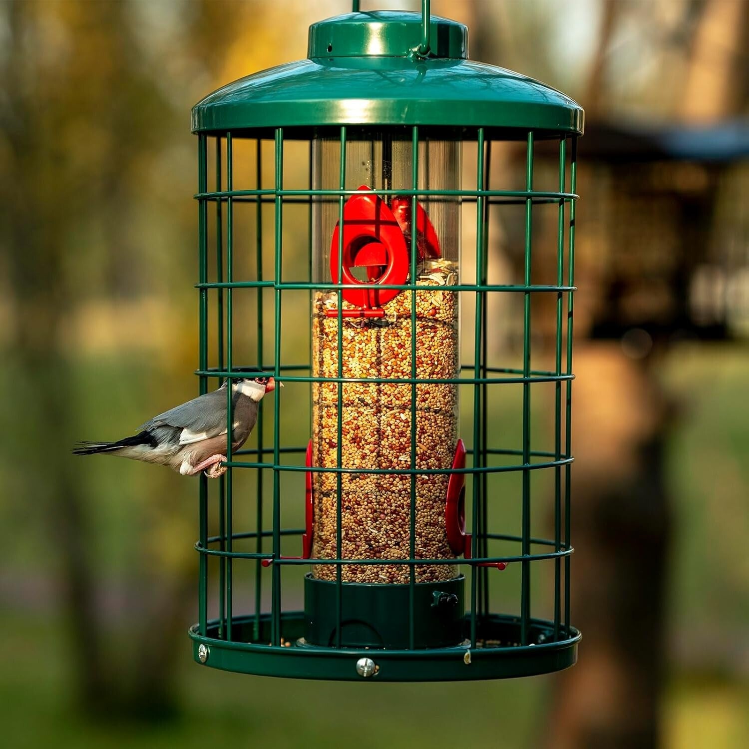 Large Capacity Squirrel-Proof Bird Feeder with Detachable Assembly & Dome Lid