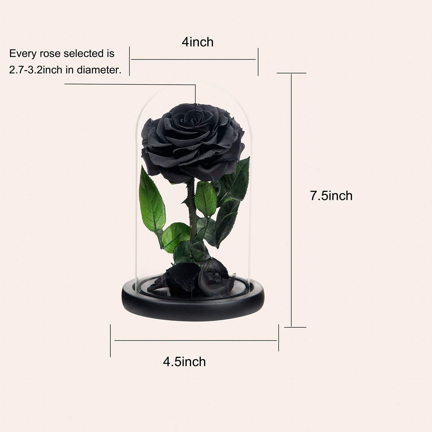 Elegant Black Rose Gift in Silk Box - Lasting Beauty for Mother’s Day & Beyond