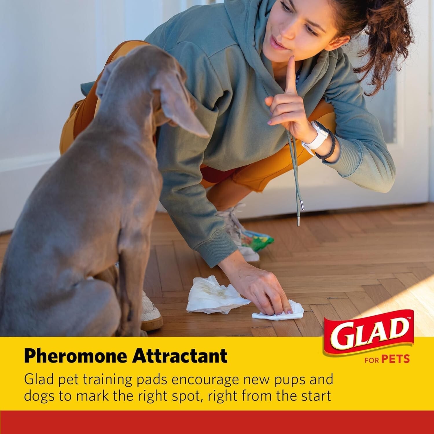 Odor-Control Charcoal Training Pads – 180 Count, Disposable for All Dog Sizes