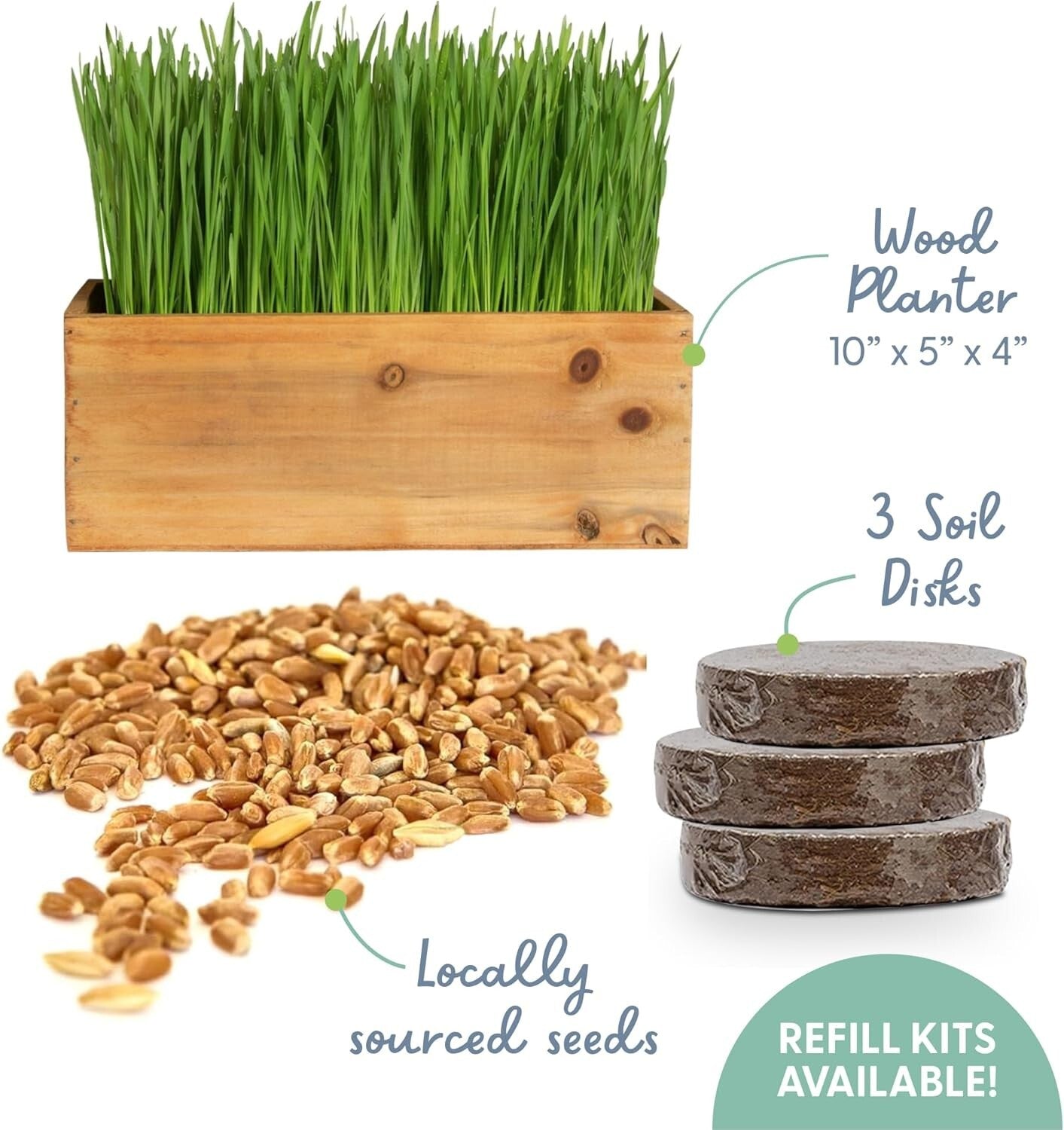 Elegant Cat Grass Kit in Rustic Wood Planter - Nourish & Decorate Your Home