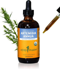 Load image into Gallery viewer, Expertly Crafted 4 oz Organic Sweet Annie Liquid Extract for Optimal Wellness