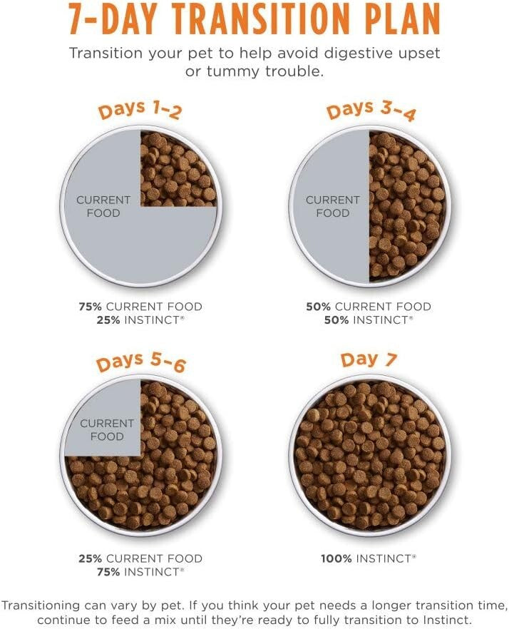 10 lb Dry Cat Food with Salmon and Probiotics – Grain-Free Formula for Cats