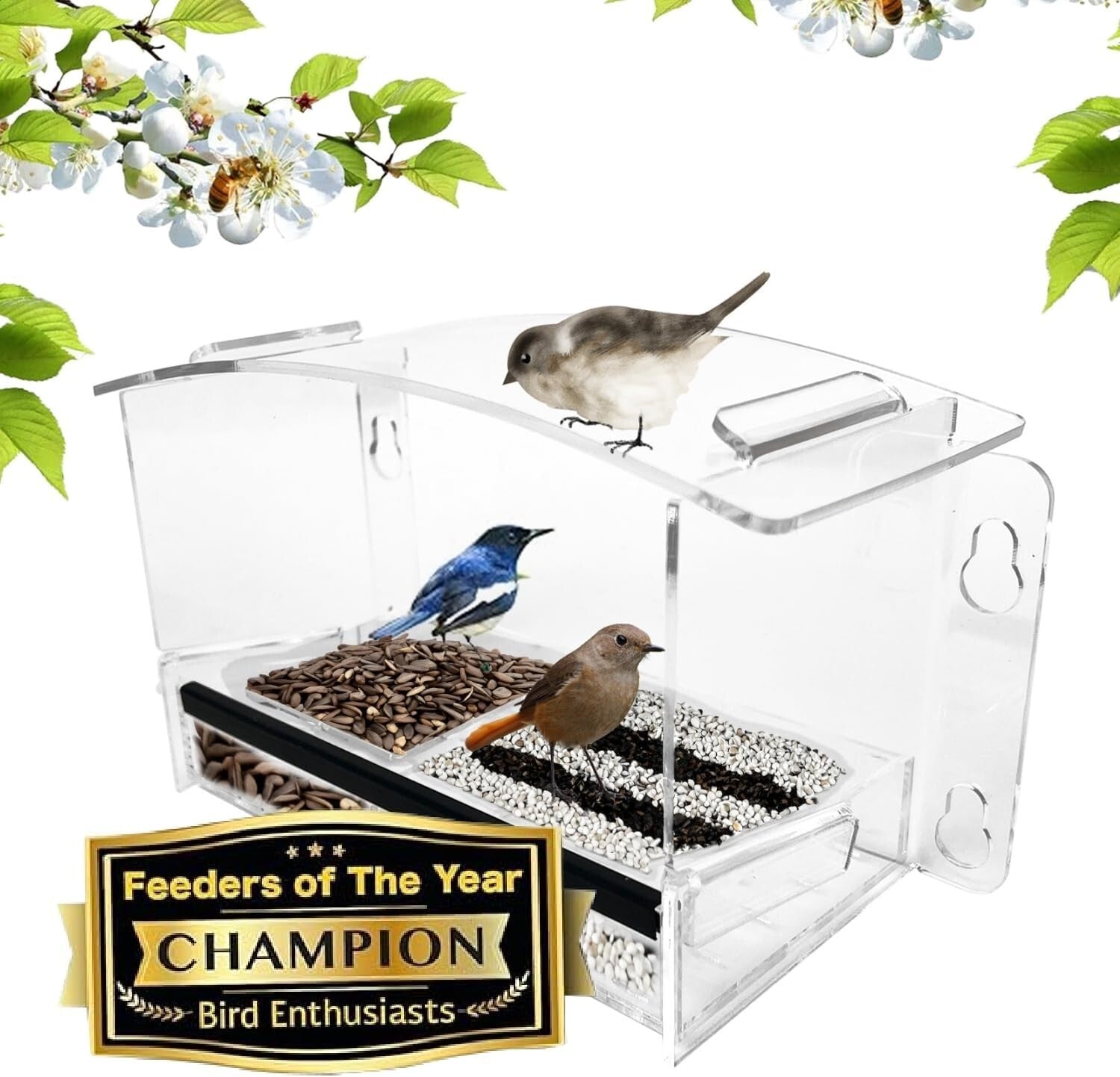 Eco-Friendly Clear Bird Feeder with Strong Suction Cups for Hummingbird Viewing