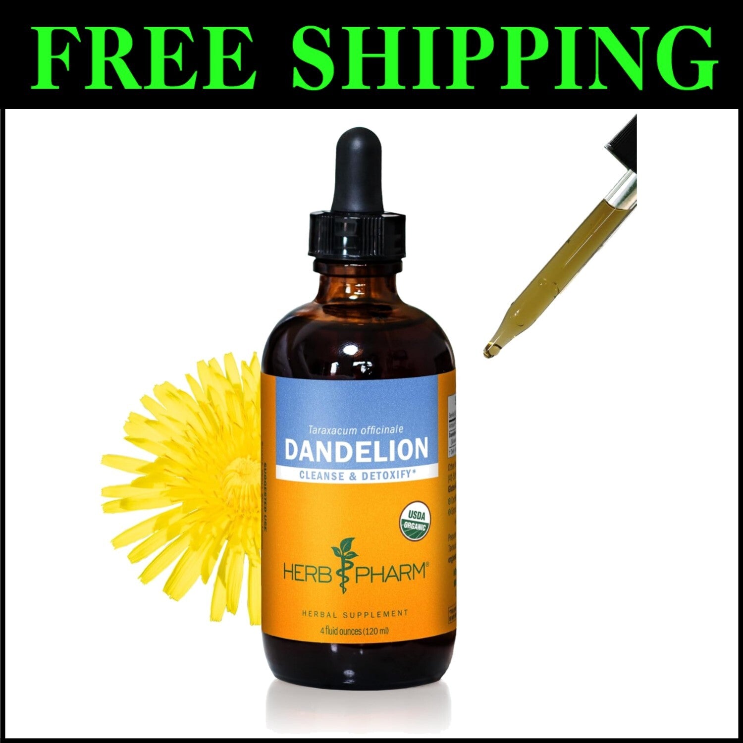 Freshly Harvested Organic Dandelion Extract - Liquid Detox Support, 4 oz
