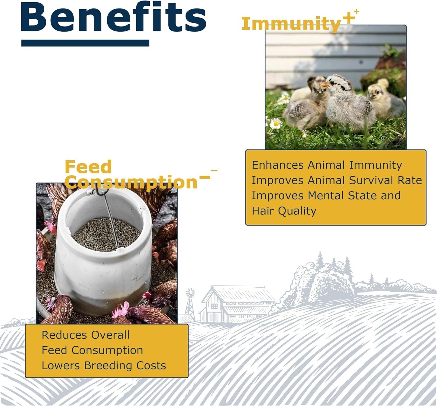 10LB Dried BSF Larvae - High-Protein, Natural Feed for Poultry, Birds & Reptiles