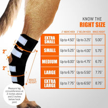 Load image into Gallery viewer, Breathable Neoprene Dog Hock Brace, ACL &amp; CCL Support for Large Breeds, 1 Pair