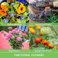 Load image into Gallery viewer, Heirloom Flower Seed Collection | 36 Assorted Pollinator Plants for Your Garden