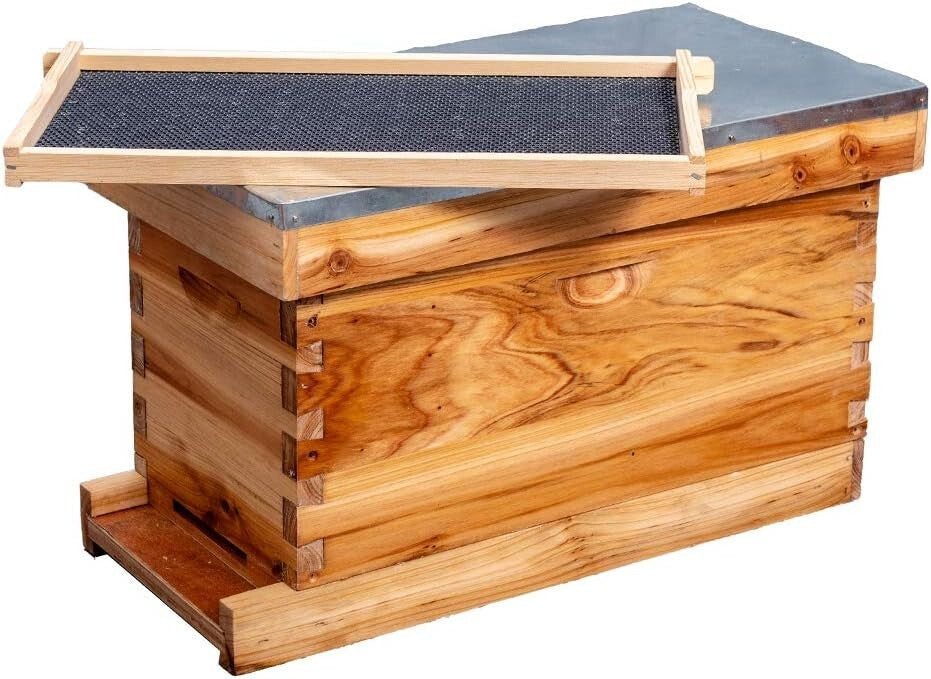 Elegant 5-Frame Beehive with Waterproof Metal Roof – Perfect for New Beekeepers