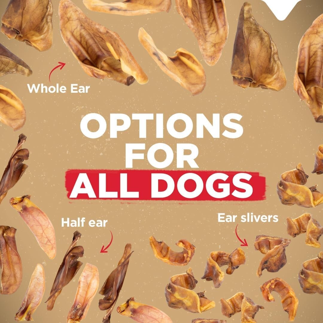 Long-Lasting Natural Pig Ears for Dogs - 50-Pack for Chewing & Dental Care