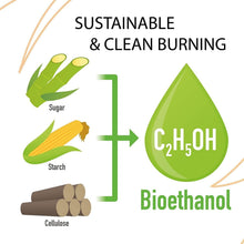 Load image into Gallery viewer, Plant-Based Ethanol Fuel 12 x 1L - Ideal for Indoor Fireplaces &amp; Stoves