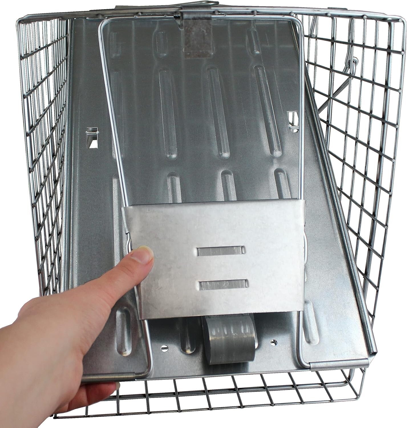 Professional Quality 1-Door Humane Animal Trap - Safe for Cats, Raccoons & More