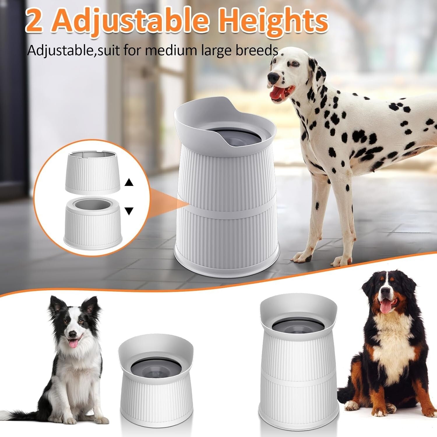 4.4L Stainless Steel Elevated Dog Water Bowl with Non-Slip Base for Large Dogs