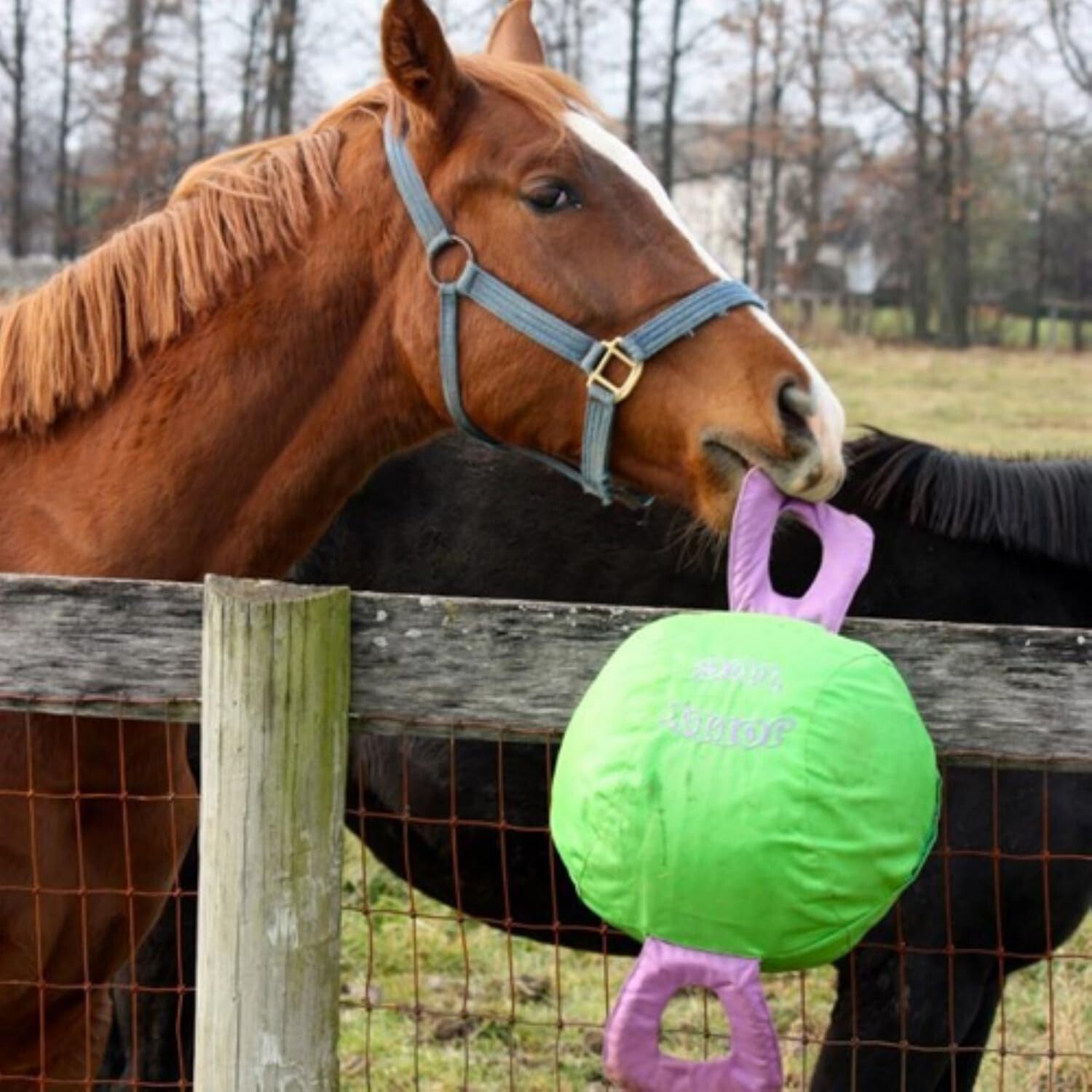 14" Jolly Tug Toy for Horses - Bright Blue, Machine Washable, All Breeds