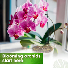 Load image into Gallery viewer, Complete Orchid Potting Kit with Natural Ingredients for Indoor Gardens - 10QT
