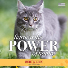 Load image into Gallery viewer, Cruelty-Free 6pk Waterless Cat Grooming Spray - Nourishing with Shea Butter