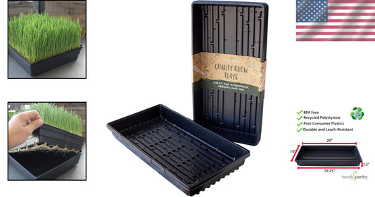Eco-Friendly Hydroponic Trays - 10-Pack Plastic with Drain Holes for Seedlings