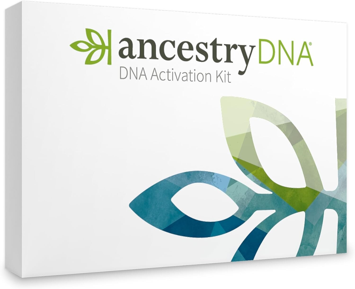 Interactive DNA Ethnicity Test Kit: Explore Ancestry & Family Trees Effortlessly