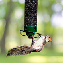 Load image into Gallery viewer, Heavy-Duty Squirrel-Proof Bird Feeder for Cardinals and More - 5Lbs Seed Holding