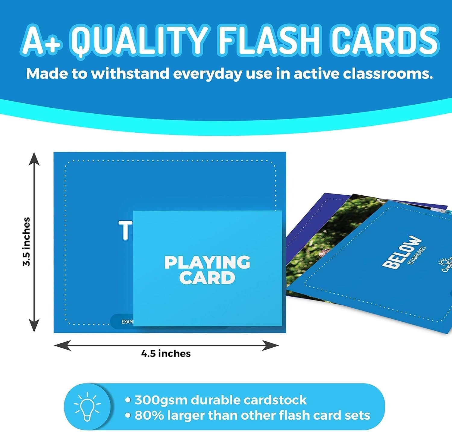 Interactive Vocabulary Builder Flash Cards - 599 Cards for Fun Learning Sessions