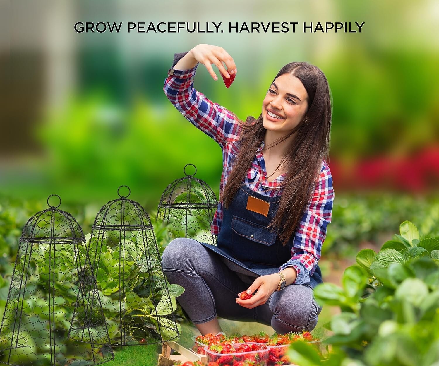 12x20 Inch Rustproof Garden Cloches - Pack of 6 for Ultimate Plant Protection