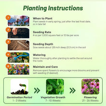 Load image into Gallery viewer, Heirloom Echinacea Coneflower Seeds - Drought Tolerant and Easy to Grow