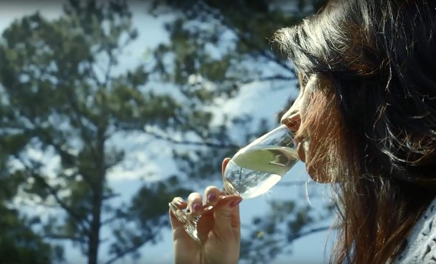 All-in-One Honey Wine Brewing Kit - Reusable Equipment for Endless Mead Making