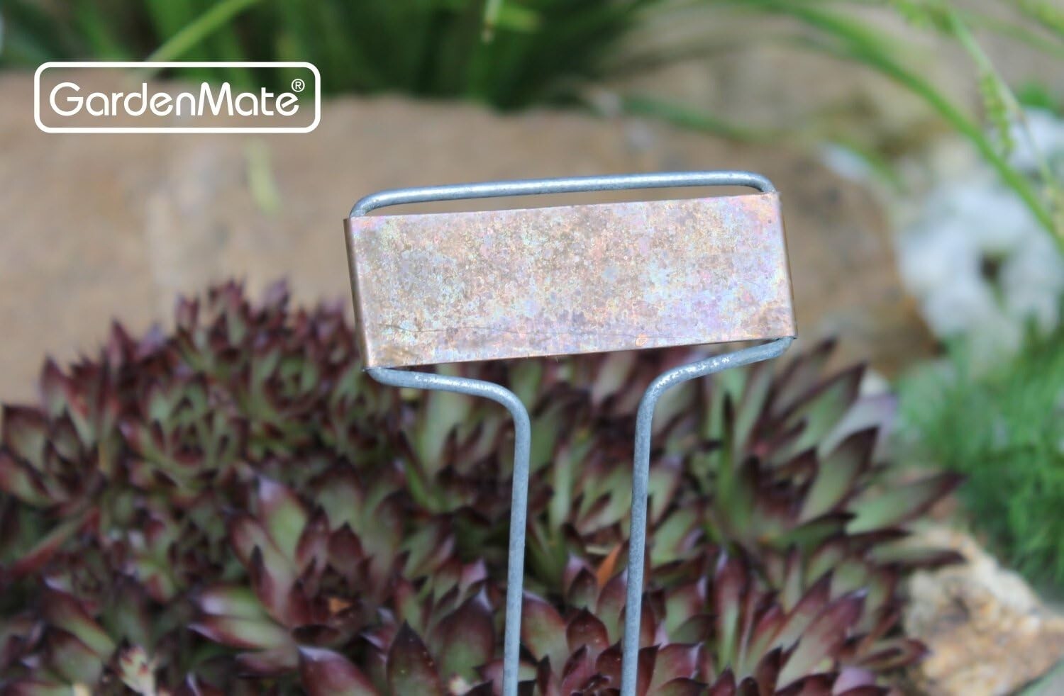 Durable 50-Pack Weatherproof Copper Name Plate Labels for Garden & Home Plants