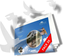 Load image into Gallery viewer, Translucent Bird Strike Prevention Stickers - 3 Sheets of Elegant Silhouettes