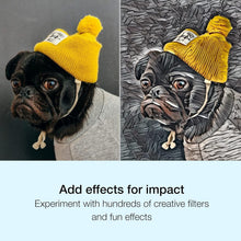 Load image into Gallery viewer, PaintShop Pro 2023: Enhance Photos &amp; Design Graphics with AI Tools [PC Key Card]