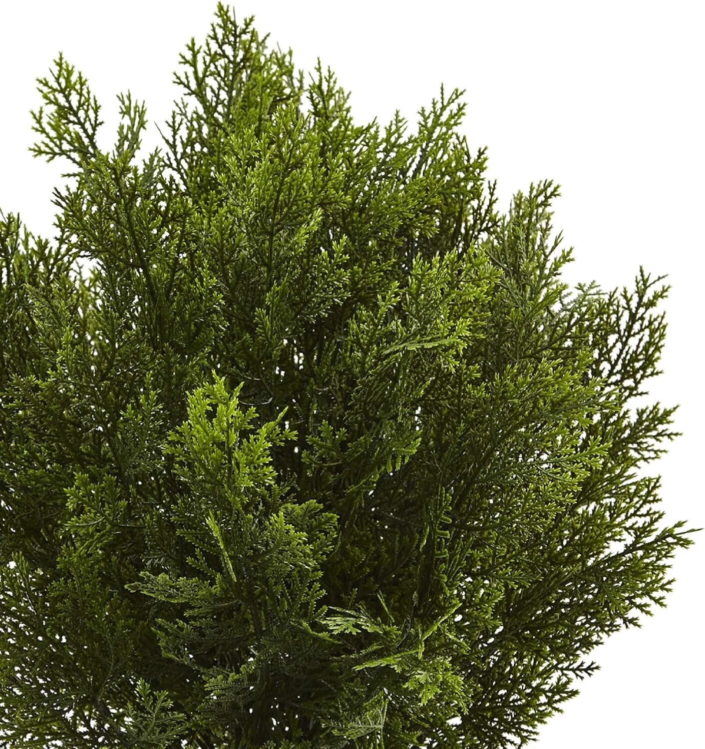 2ft Weather-Resistant Cedar Artificial Bush for Stylish Home & Office Decor