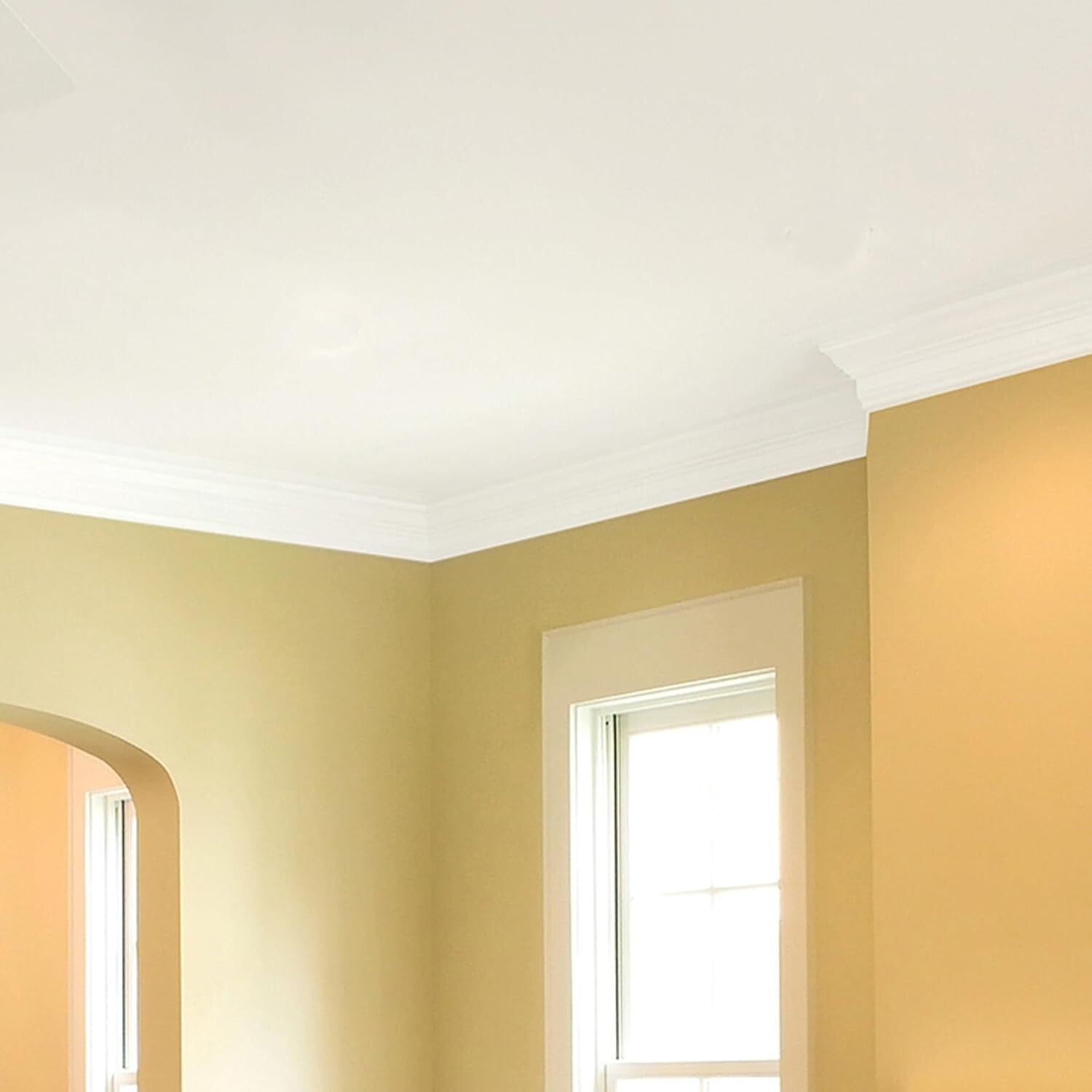 Advanced 1 Gallon Ceiling Paint & Primer - Covers 250-400 Sq. Ft. Effortlessly