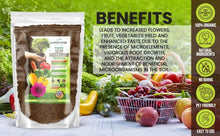 Load image into Gallery viewer, Premium Horticultural Molasses for Thriving Plants - 5 Quarts, Safe &amp; Effective