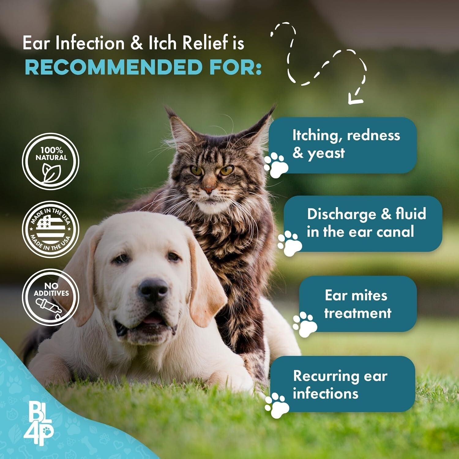 Comprehensive Ear Infection Cure for Pets - 100% Natural Ingredients, 400 Pills