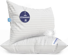 Load image into Gallery viewer, Elegant 700 Fill Power Hungarian Goose Down Pillows - 20 x 26 Inches, Pack of 2