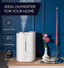Load image into Gallery viewer, Cool Mist Ultrasonic 6L Humidifier with Night Light - Ideal for Babies &amp; Plants
