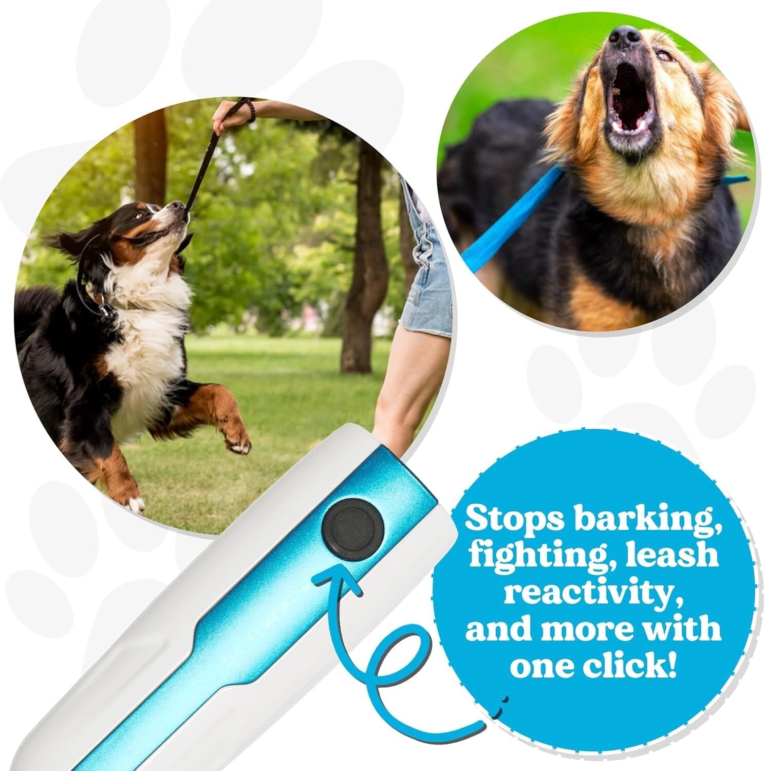 Electronic Dog Training Bark Control Device - Train Unwanted Behaviors Safely