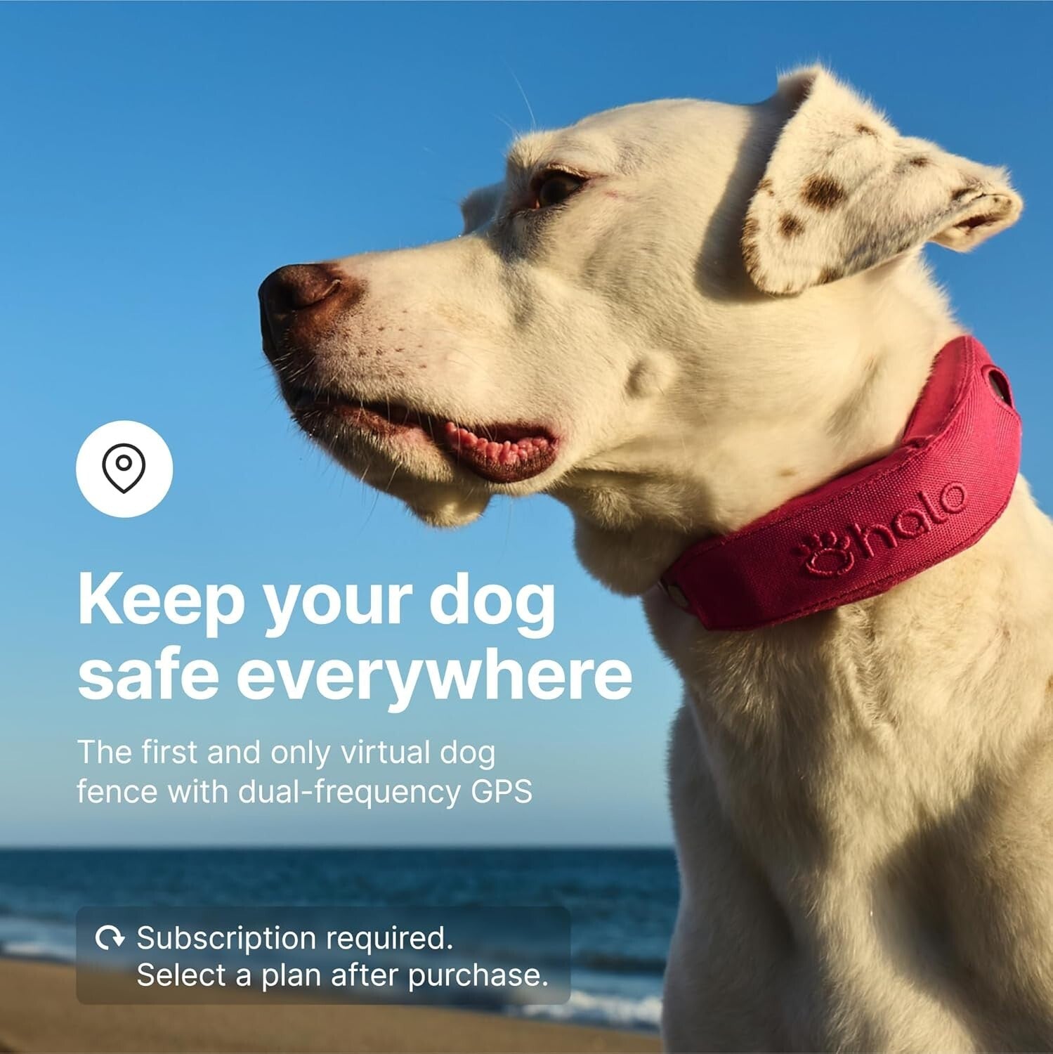 Collar 4 GPS Wireless Dog Fence & Dog Training Collar - Waterproof, Adjustable