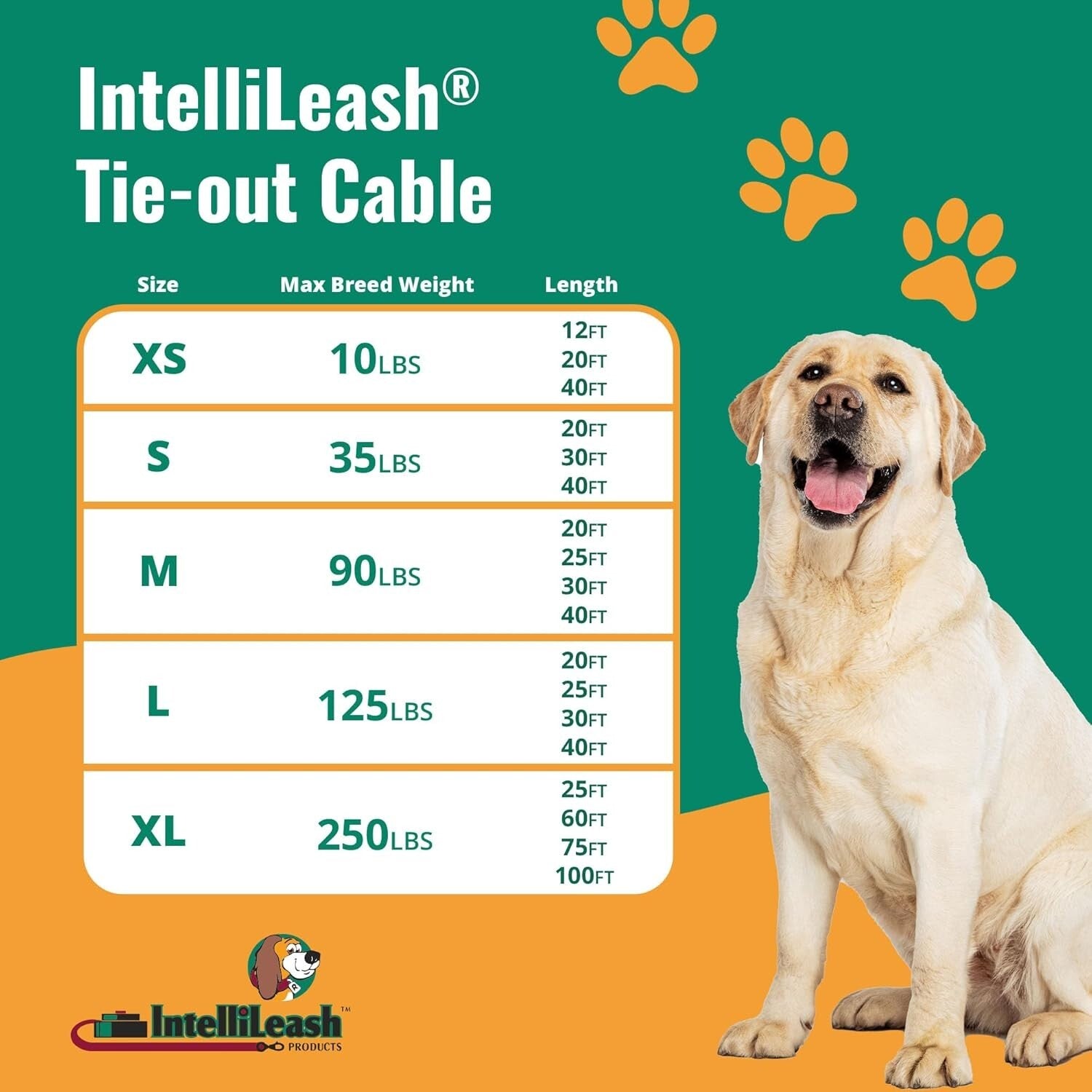 Reinforced 100FT Dog Runner with Secure Steel Clasps - Ideal for Large Breeds