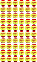 Load image into Gallery viewer, Youth Tennis Balls 60 Pack - Stage 3 Red and Yellow for Skill Development