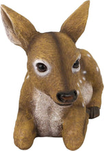 Load image into Gallery viewer, Hand-Painted Darby Fawn Sculpture - Artisan Resin Deer Statue for Yard Decor