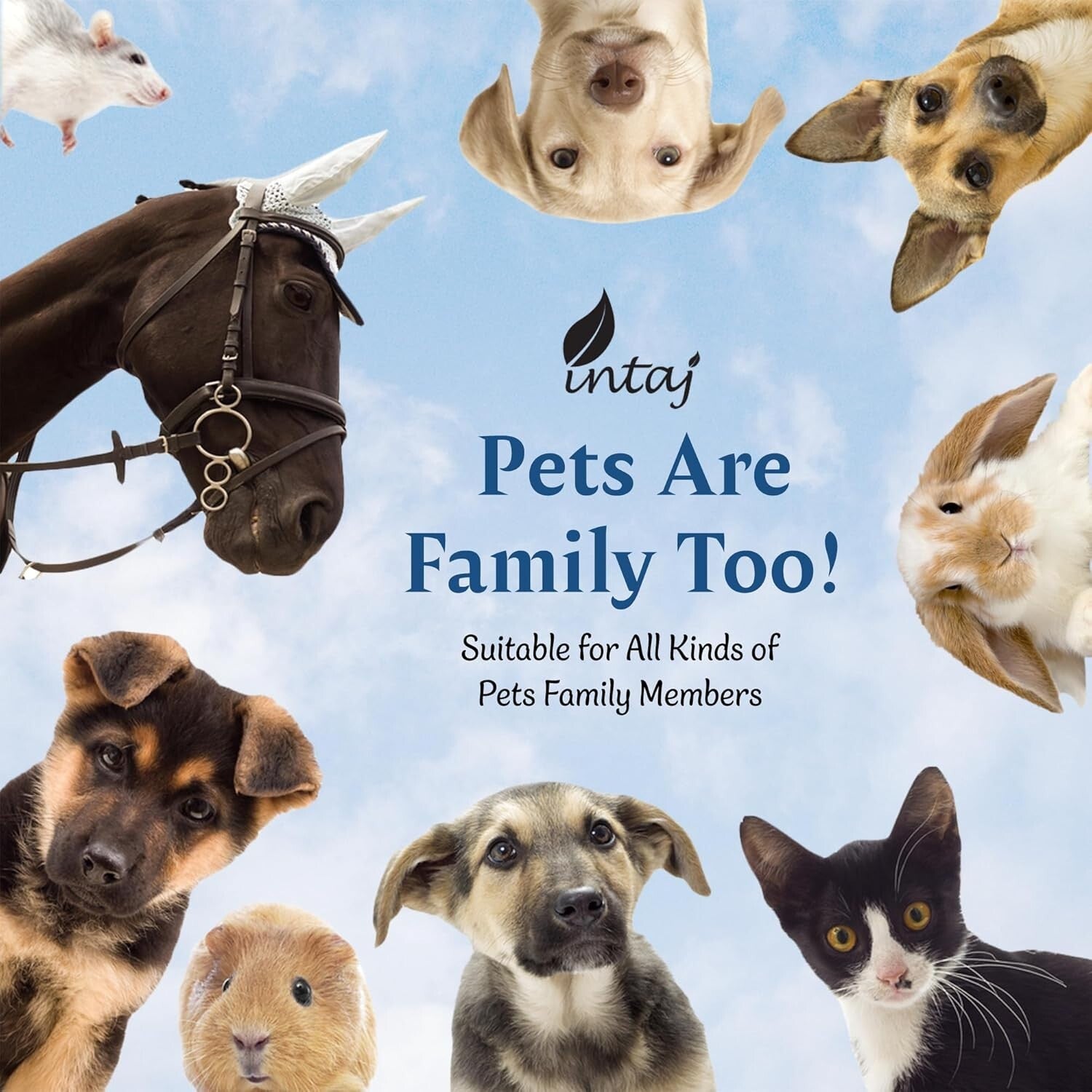 Rosewood Cremation Urn for Adult Ashes, 250 Cu In Capacity - Beautiful Tribute