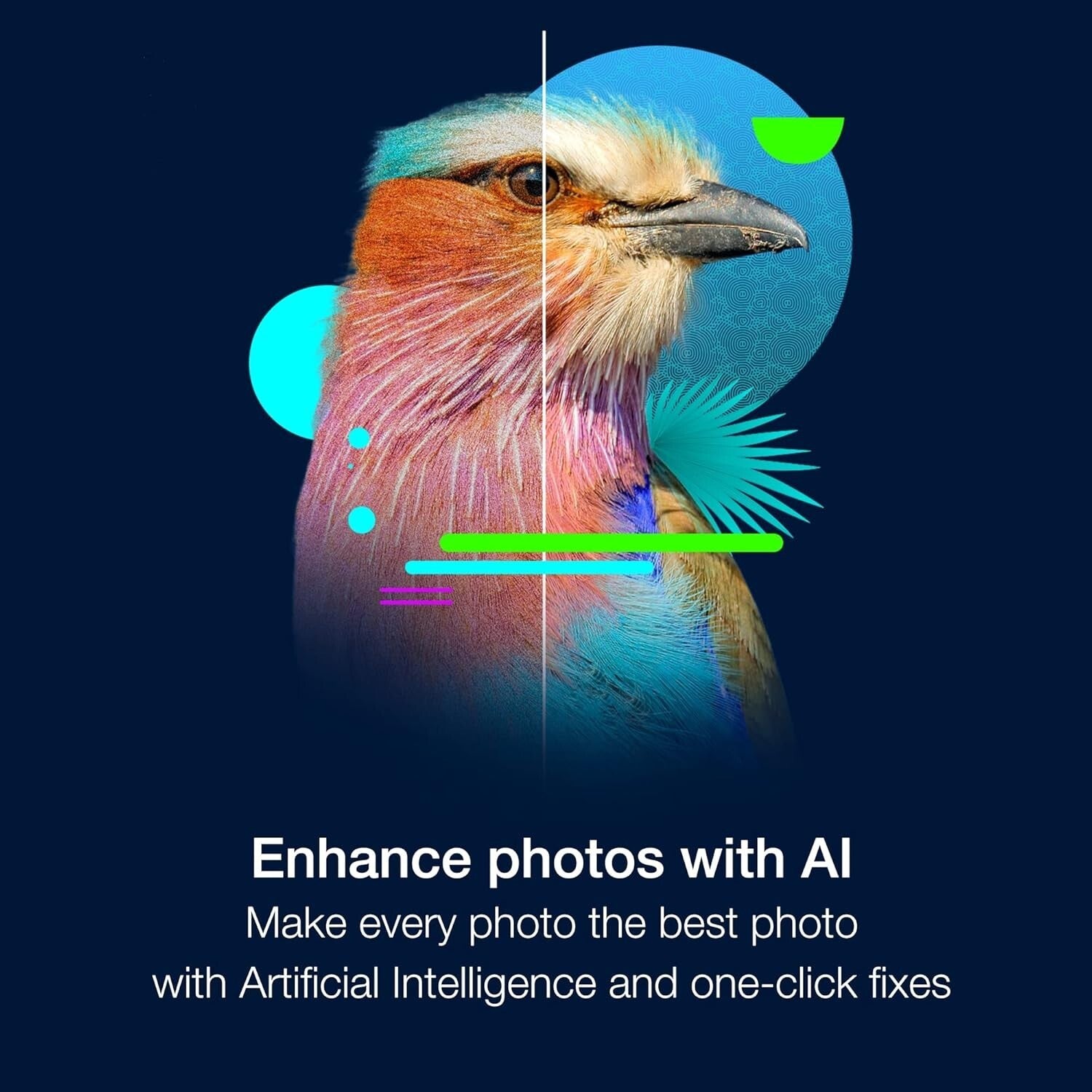 PaintShop Pro 2023 Ultimate Package with Creative Suite & Advanced Editing Tools