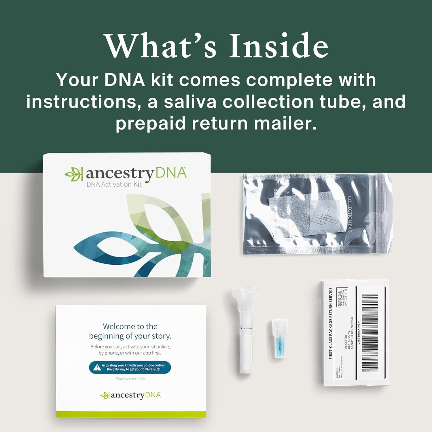 Interactive DNA Ethnicity Test Kit: Explore Ancestry & Family Trees Effortlessly