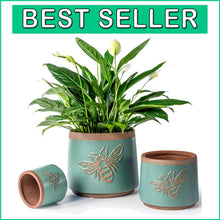 Load image into Gallery viewer, Turquoise Terracotta Pots Set of 2 with Drainage Holes for Indoor/Outdoor Use
