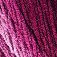 Load image into Gallery viewer, Creative Yarn Craft Essentials: 2-Skein Ombre Anemone with Project Bag Included