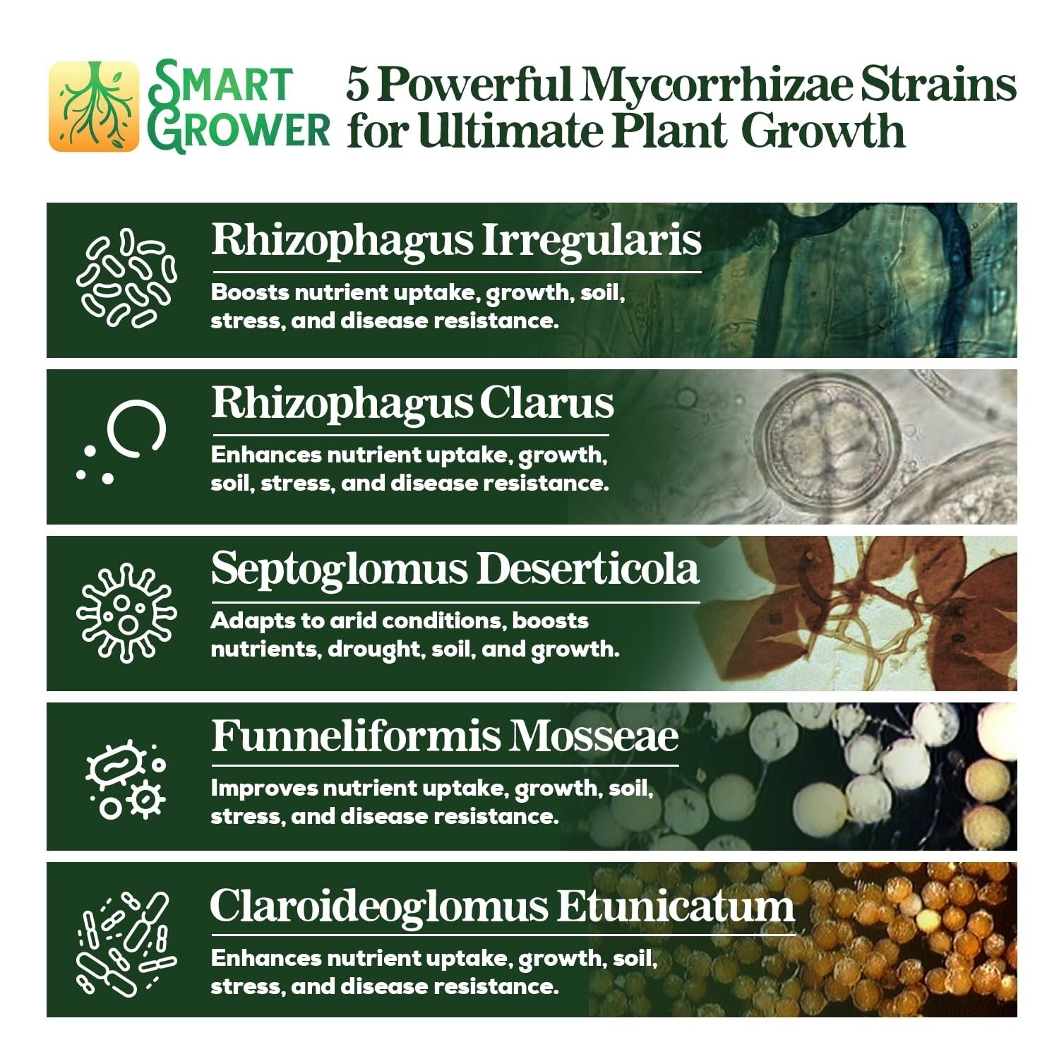 5-Strain Mycorrhizal Fungi Blend - Potent Support for Garden and Lawn Growth